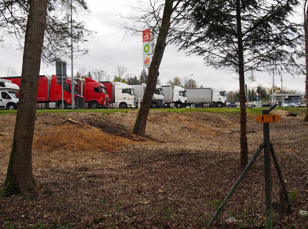 Rastplatzsituation an deutscher Autobahn mit vielen geparkten LKW